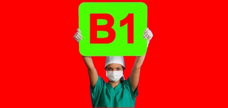 B1 euromedicals